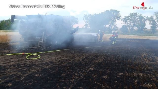 Mähdrescher- und Feldbrand in Wiener Neudorf (16. Juli 2021) смотреть онлайн