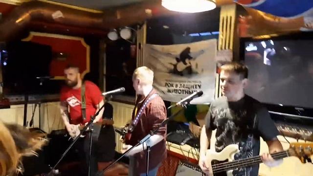 Беспроводной Утюг - Рок в защиту животных | Harat's Pub | 24.04.2021 смотреть онлайн