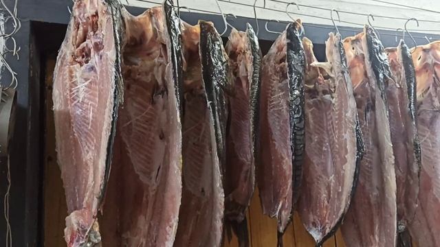 100 килограмм рыбы. Коптим холодным способом!!! ??? смотреть онлайн
