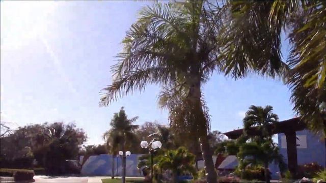 Gausia princeps in Holguin Cuba смотреть онлайн