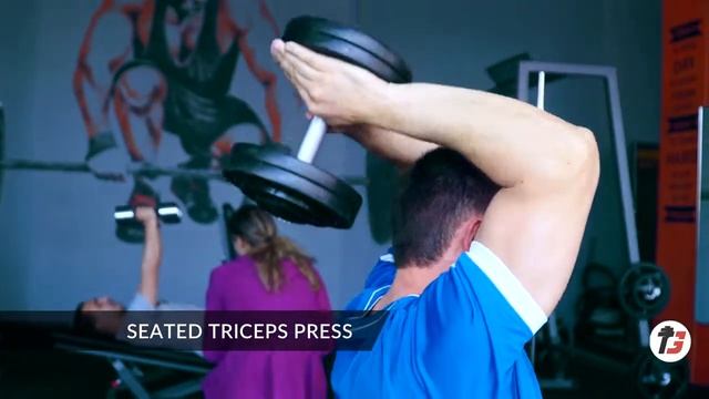 SEATED TRICEPS PRESS | ФРАНЦУЗСКИЙ ЖИМ С ГАНТЕЛЕЙ СИДЯ смотреть онлайн