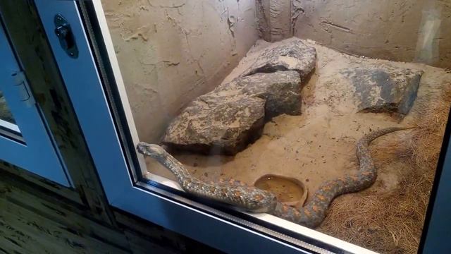 Черкасский зоопарк, террариум смотреть онлайн