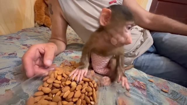 Рыба в Руках