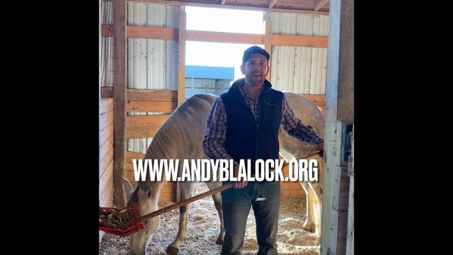 Vote Blalock to help get rid of the Democrats crappy ideas смотреть онлайн