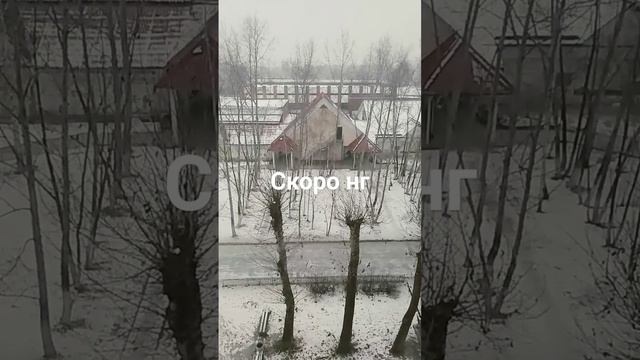 кто то уже нарядил ёлку?