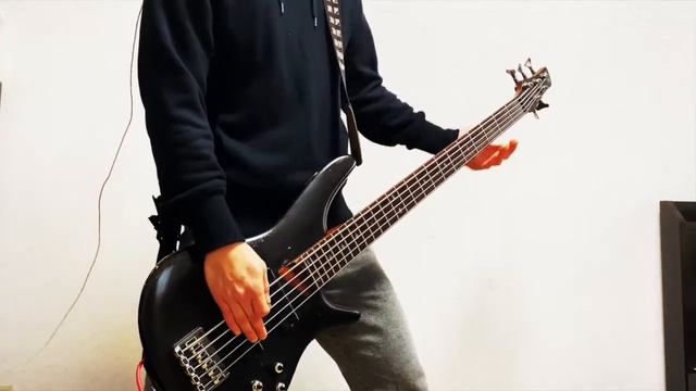 Asking Alexandria - Into The Fire || Bass Cover смотреть онлайн