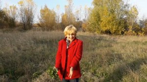 ЛАПЧАТКА СЕРЕБРИСТАЯ - ДЛЯ ЩИТОВИДНОЙ ЖЕЛЕЗЫ !!!