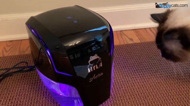 HYLA AERA Air Purifier With Night Light: The Simple, Effective Way To Purify Your Air
