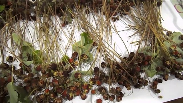 Умные устройства для дома: умные советы