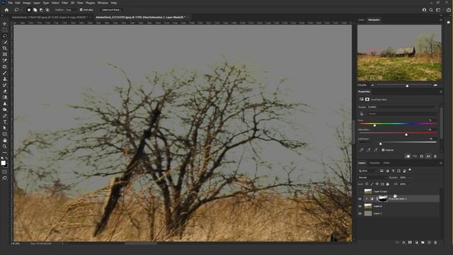 A NEW (BETTER) Way to Cut Out Trees in Photoshop смотреть онлайн