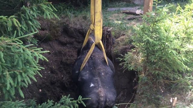 В Кунгурском районе спасатели достали корову из карстовой ямы смотреть онлайн