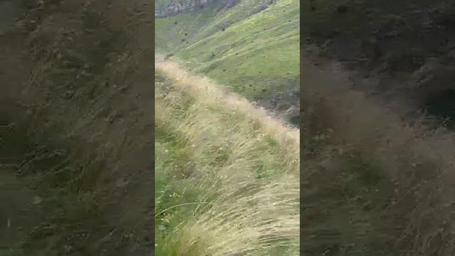 горы зовут смотреть онлайн