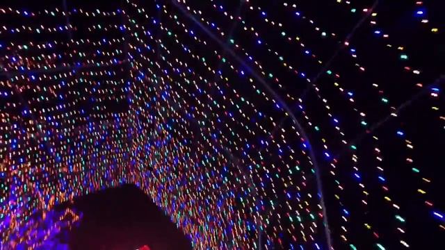 Lights Show at Shady Brook Farm смотреть онлайн