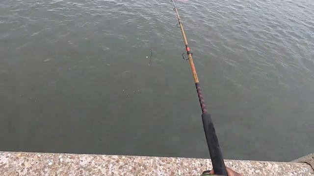 Fishing Nassau sound / George Crady bridge -Whitting Time!! смотреть онлайн