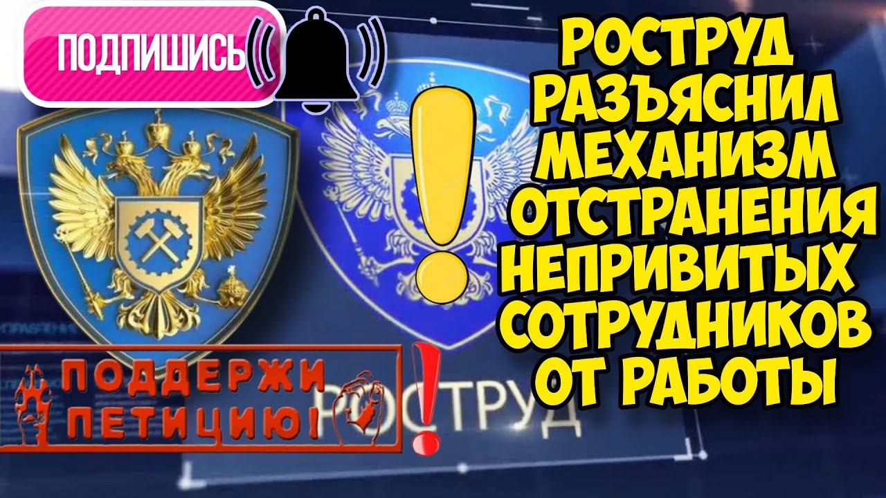 Роструд разъяснил механизм отстранения непривитых сотрудников от работы. Мнение автора канала