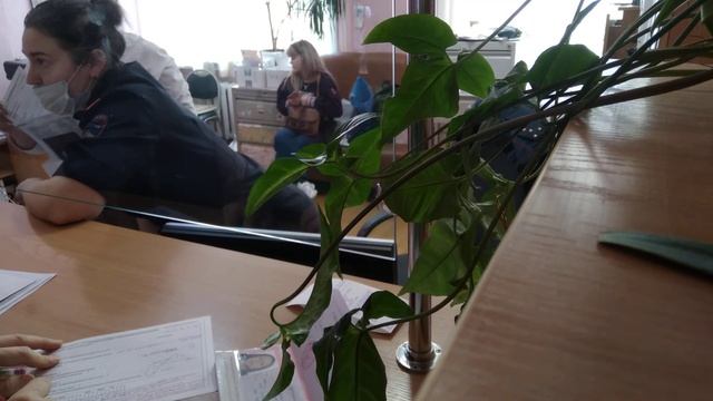 Написали в форме 1 всё, что хотели, сотрудники были очень добро-желательны и отзывчивы. смотреть онлайн