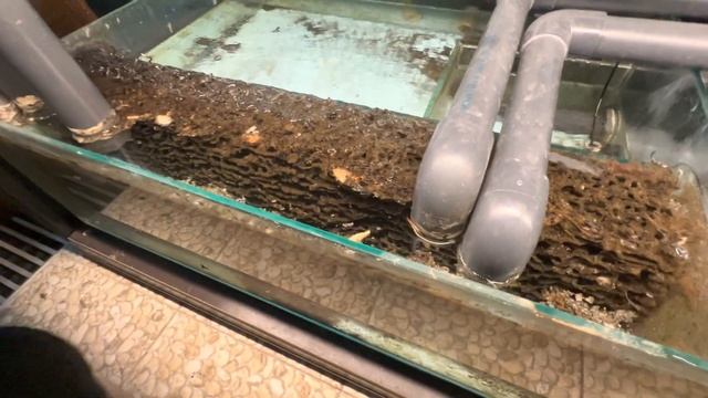 Промываем фильтровальные маты Matala в сливном отсеке-сампе