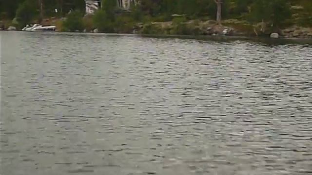 Проведать отдыхающих... смотреть онлайн