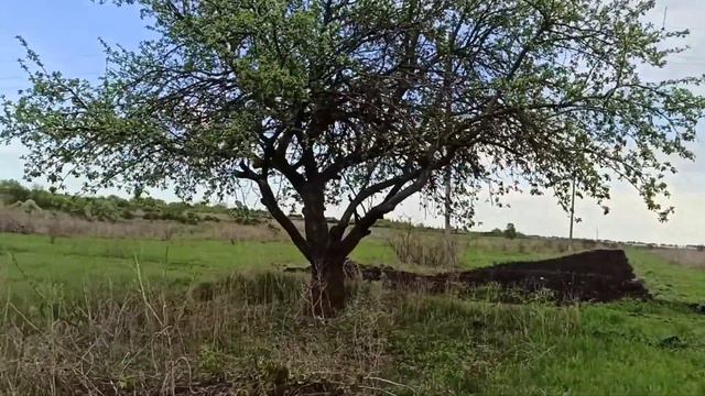 Новополянье! Красота где то рядом!!! смотреть онлайн