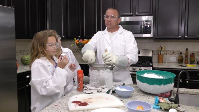 WE MAKE HOMEMADE LIQUID NITROGEN | DIY | We Are The Davises смотреть онлайн
