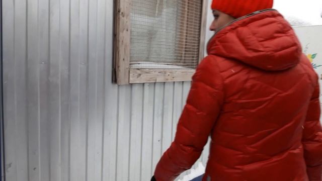 ПРИЮТ ДЛЯ ЖИВОТНЫХ ХОЧУ ДОМОЙ\ПОЛУЧИЛИ ЗАРПЛАТУ\НА ЧТО МЫ ПОТРАТИЛИ ЗАРПЛАТУ ! смотреть онлайн