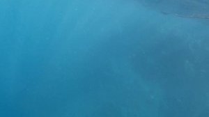 под водой где-то там в темноте)