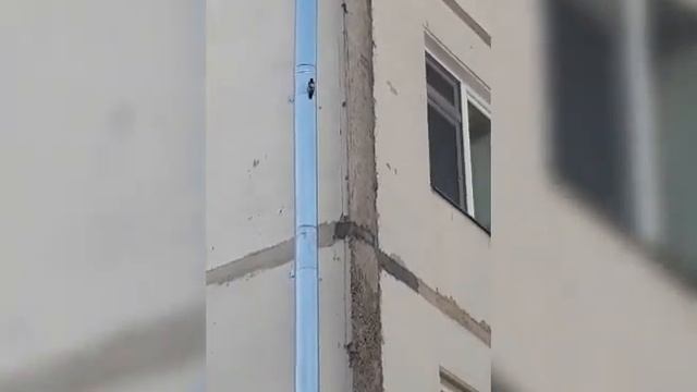 У каждого свой перфоратор смотреть онлайн