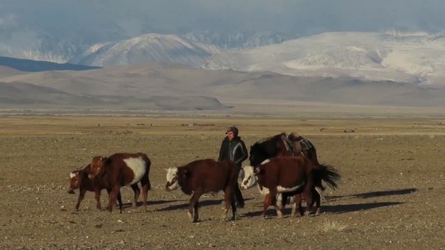 Сибирь 2020 (Горный Алтай) Сайлюгемский национальный парк смотреть онлайн