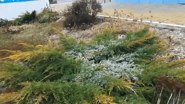 БТИ , консультация , заявление и всё остальное ! смотреть онлайн