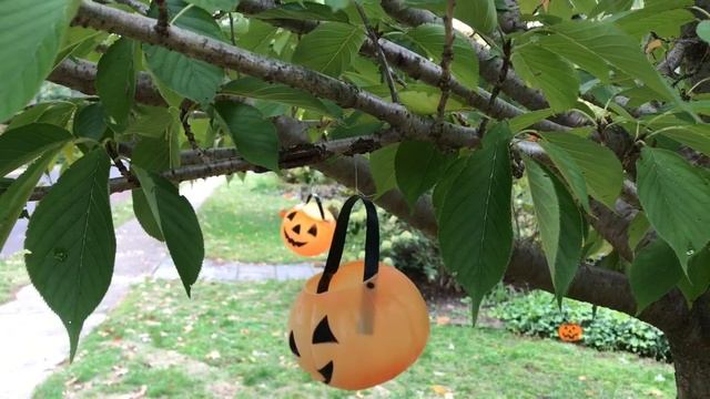 Мадам С не мечтает о мужчине, который осчастливит. Кристина Никадимус пойдёт работать в ООН и НАТО. смотреть онлайн