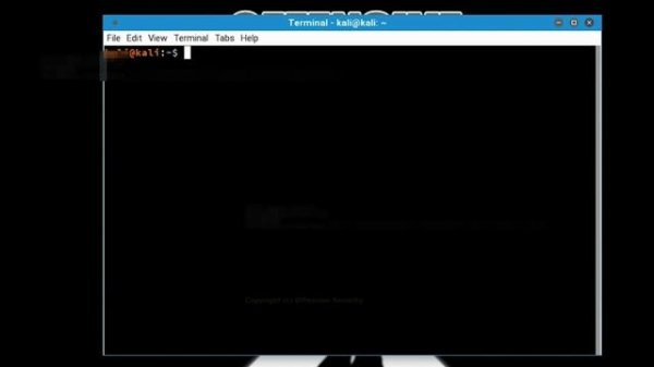 1. Getting Comfortable With Kali Linux