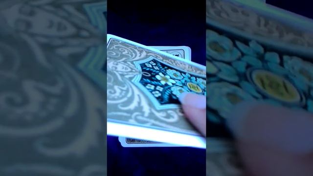 Lenormand Oracle смотреть онлайн