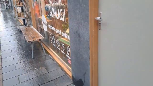 #1 Осенний Влог: Гуляем по городу Ляйден в Нидерландах?? Нидерландцы — безумно добрые и дружелюбные