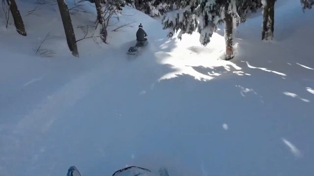 ski-doo summit sp 600R E-TEC 146 смотреть онлайн