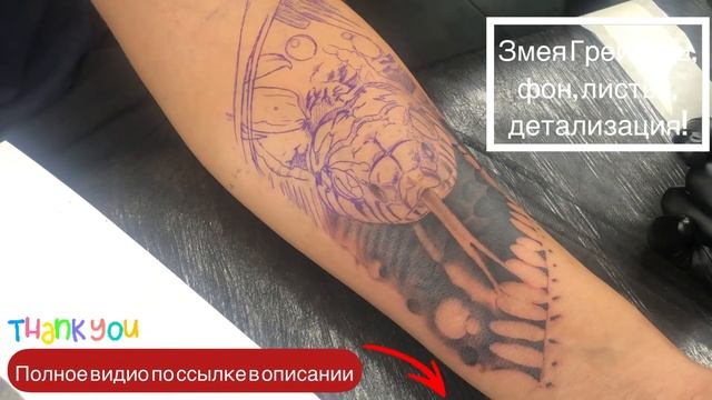 Змея в грейвош! Так же фон и листья, детали, подробно! смотреть онлайн