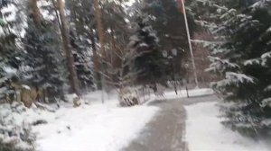 Санаторий "Сосновый бор" в пос. Васильево рес. Татарстан.