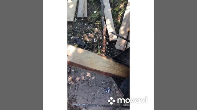 Влог на природе.Калининград, Озерки.Отдых в палатках.Готовлю плов. #природа#Калининград#палатка#пло смотреть онлайн