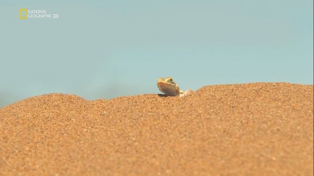 05 смотреть онлайн