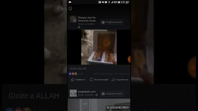 Реакция кота на Коран смотреть онлайн