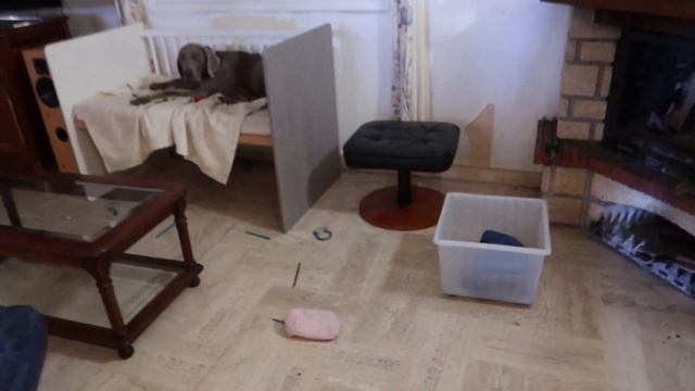 ДОМОГАТЕЛЬСТВА на работе. Всё ломается в моих руках.   VLOG#1521