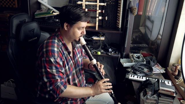 Kansas — Carry On Wayward Son on a tenor recorder смотреть онлайн
