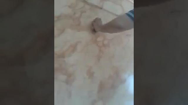 دسوق ترخيم بدون جليز смотреть онлайн