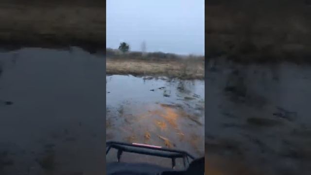 Linhai-Yamaha 300 смотреть онлайн