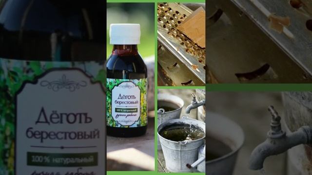 Березовый деготь разделается со всеми вредителями огорода! Супер рецепт #shorts смотреть онлайн