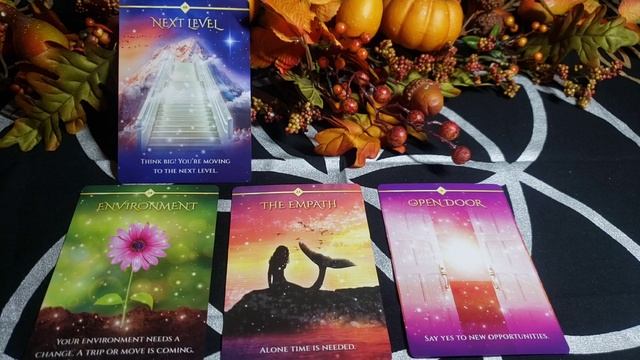 Equinox Oracle Reading - You Are Leveling Up! What Happens Next? Autumn Equinox #oracle #nextlevel смотреть онлайн