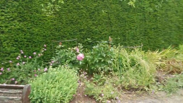 Весело учим Английский язык с детьми на прогулке !! Ангелина и Роберт смотреть онлайн