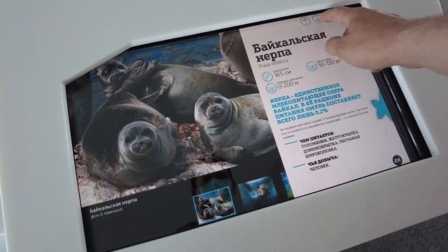 Разведочный выезд в Байкальский биосферный заповедник Танхой смотреть онлайн