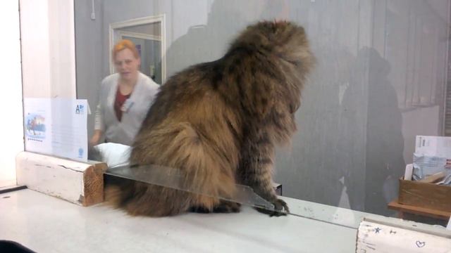 Новый работник Почты России смотреть онлайн