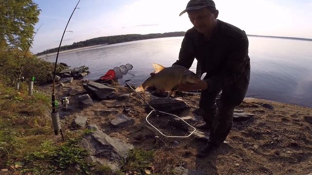 Лещ 1745 гр на пенопласт!!! смотреть онлайн