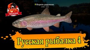 Русская рыбалка 4 Куори и Форель радужная